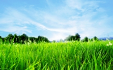 3d-abstract_widewallpaper_greeeen_42971.jpg