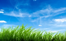 blue_sky_green_grass-wide.jpg